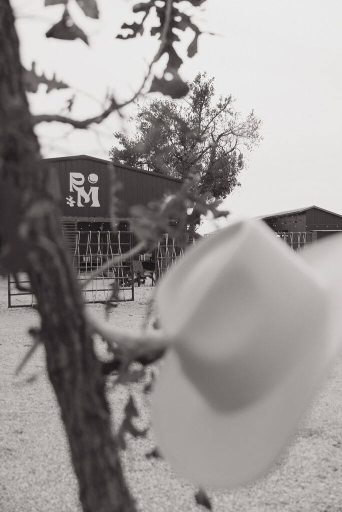 cowboy hat hanging on a tree on the ranch